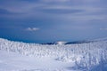 Snow Monsters of Mt.Zao in Yamagata, Japan Royalty Free Stock Photo